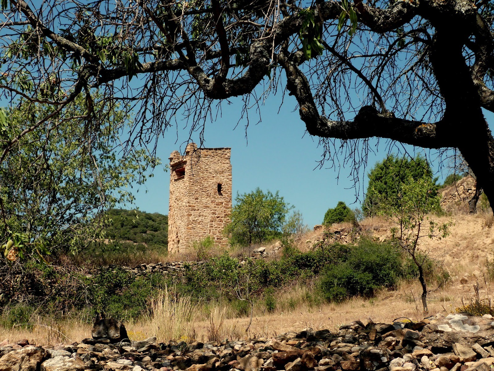 tolinos rehabilitacion torre del moro 02  283